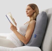 The Casper Backrest Pillow New In Box $219.99