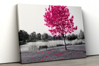 Large Pink Tree Black and White Park Home Decor Nature Framed Canvas Print Wall Art (36" x 71"), (Similar to Picture), New $179