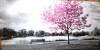 Large Pink Tree Black and White Park Home Decor Nature Framed Canvas Print Wall Art (36" x 71"), (Similar to Picture), New $179 - 2