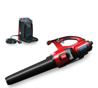 Toro Flex Force 60-Volt Max Brushless and Cordless Leaf Blower with 2.5-Ah Battery and Charger 51822 New in Box $599