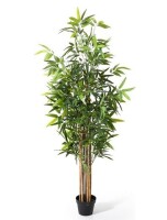 FLOWORLD 6 ft Artificial Bamboo Tree Greenery Plant Decor in Pot for Indoor Home Office Decoration 71 inch New In Box $199