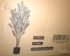 Jocoevol Artificial Olive Tree 7FT, Indoor Fake Silk Plant with Realistic Trunk, Leaves, Fruits and White Planter, Faux Potted Tree for Home Decor and Housewarming Gift New In Box $199 - 2