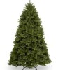 National Tree Company 10' Douglas Fir Christmas Tree $599 (Similar to picture)