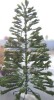 National Tree Company 10' Douglas Fir Christmas Tree $599 (Similar to picture) - 2