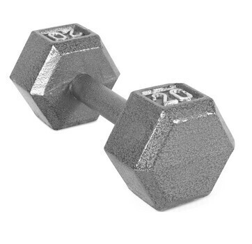 Weider 20 Lb. Cast Iron Hex Dumbbell in Black, New $89