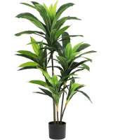 VIAGDO Dracaena Silk Plant Artificial 6ft Faux House Plant Evergreen Dracaena Marginata Fake Yucca Palm Tree in Pot Realistic Dragon Tree for Living Room Home Office Decor Indoor Outdoor New In Box $109