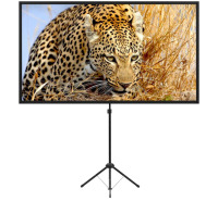 Excelimage Portable Projector Screen with Stand, Outdoor Movie Screen, 80 Inch 16:9 Light-Weight, Mobile and Compact, Easy Setup and Carrying, Projection Screen with 1.2 Gain Glass Fiber, Idea for Home Cinema $299