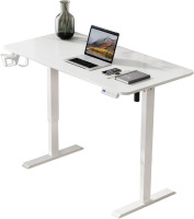 Rtisgunpro White 55" x 24" Electric Standing Desk Adjustable Height Stand Desk Home Office Study Desk, New in Box $299