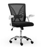 NOBLEWELL HOME Chair-NWOC2B Home Office Chair, Nylon, White, New in Box $299