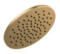 Delta Gold 1-Spray Patterns 1.75 GPM 11.75 in. Wall Mount Fixed Shower Head in Lumicoat Champagne Bronze New In Box $399