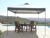 Everbilt 10 ft. x 10 ft. Grey Instant Canopy Pop Up Tent $229