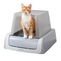 PetSafe ScoopFree Litter Box Self-Cleaning New in Box $399