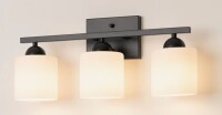 17 Stories 3-Light Bathroom Vanity Light Fixture with Opal Glass Shades New In Box $199