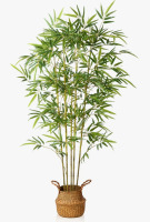 Primrue Adcock 63" Artificial Bamboo Plants in Basket, Faux Plant for Home D&eacute;cor, Lifelike Fake Tree New In Box $199