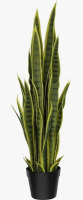 Vitalismo 36'' Faux Snake Plant (Sansevieria) Plant in Black Pot New In Box $79