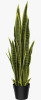 Vitalismo 36'' Faux Snake Plant (Sansevieria) Plant in Black Pot New In Box $79