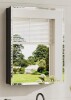 Ebern Designs Recessed or Surface Mount Aluminum Beveled Frameless Medicine Cabinet With Mirrored Door and Adjustable Shelves, 26"H x 20"W x 4.4"D New In Box $399