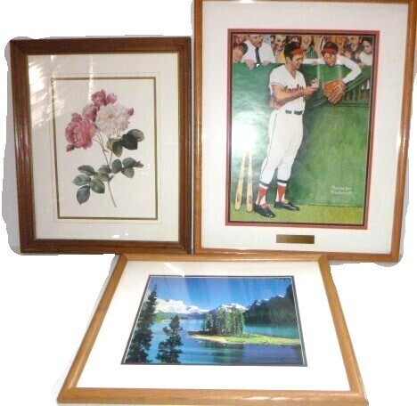 Norman Rockwell (Gee Thanks Brock) Framed Wall Art / Spirit Island Picture 305/500 Framed Wall Art / 12" x 18" Flower Picture Assorted