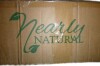 Nearly Natural 6' Autumn Oyama Magnolia Artificial Fall Tree (T4736) New In Box $199 - 2