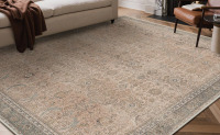 Bungalow Rose Abastos Vintage Machine Washable Performance Area Rug, 8' x 10' $399
