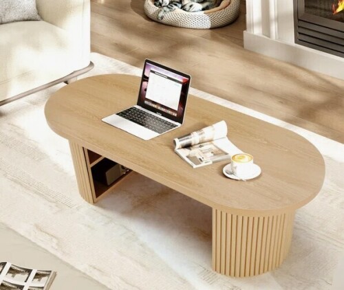 Ebern Designs 47.24" Oval Coffee Table With Storage New Shelf Pull $399