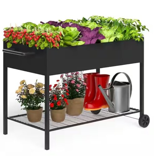 MIXC 50 in. x 26 in. x 31 in. Metal Raised Garden Bed Outdoors with Wheels and Shelf for Mobility, 467 lbs. Capacity Black New Shelf Pull $199