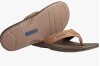 Sperry Pair of Men's Pensacola II Sandals (Tan) New In Box Size 12