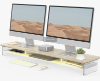 Orren Ellis Acrylic Monitor Stand Riser, 42.5 Inches Acrylic Clear Dual Monitor Stand with Metal Storage, 2 Tier Acrylic Computer Riser with 12 Color LED Light $299