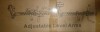 Major Fitness Adjustable Lever Arms Universal 2 x 3 New in Box $499 - 2