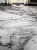 Wade Logan Swindle Abstract Grey/Silver Area Rug 8" x 10" New $999