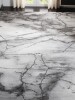 Wade Logan Swindle Abstract Grey/Silver Area Rug 8" x 10" New $999
