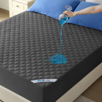 BEDLORE&reg; Noiseless Waterproof Queen Mattress Protector, Hypoallergenic Quilted Washable Mattress Cover, Breathable Mattress Pad with 6-18'' Deep Pocket / WEEKENDER Fitted Jersey Mattress Protector with Quiet Waterproof Barrier - White Queen New In Box Ass