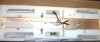 Mercer41 Wall 3-Light Sconce Lamp Crystal Lighting Fixture With Long Oblong Crystals New In Box $199 - 2