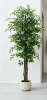 Primrue 7Ft Tall Artificial Ficus Tree With Straight Trunk, Lush Green Leaves, Faux Potted Plant In White Pot, For Indoor Outdoor Home Office Living Room Patio Decor New In Box $399