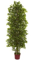 Nearly Natural 72-in Green Indoor/Outdoor Floor Ficus Artificial Tree New In Box $199