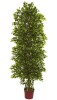 Nearly Natural 72-in Green Indoor/Outdoor Floor Ficus Artificial Tree New In Box $199