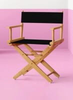 Breakwater Bay Oktan Folding Director Chair New In Box $199