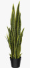 Vitalismo 36'' Faux Snake Plant (Sansevieria) Plant in Black Pot New In Box $199