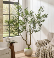 Primrue 7 ft. Artificial Olive Tree With Realistic Leaves And Olives, Faux Mediterranean Tree In White Pot For Living Room, Entryway Or Home Decor New In Box $299