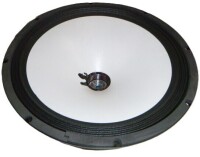 15" Subwoofer