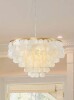 Mercer41 Ladaniel 6-Light Dimmable Gold Chandelier with White Round Shells New In Box $699