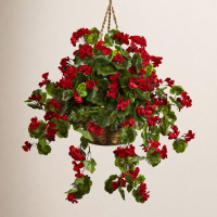 Birch Lane&trade; Geranium Hanging Basket UV Resistant (Indoor/Outdoor) New In Box $199