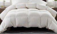 Alwyn Home King Size All Season Duvet Insert - 100% Cotton Shell Goose Feather Down Comforter with 8 corner tabs $299
