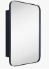 Latitude Run Haslem Recessed Framed Medicine Cabinet with Mirror and Adjustable Shelves in Black New in Box $299