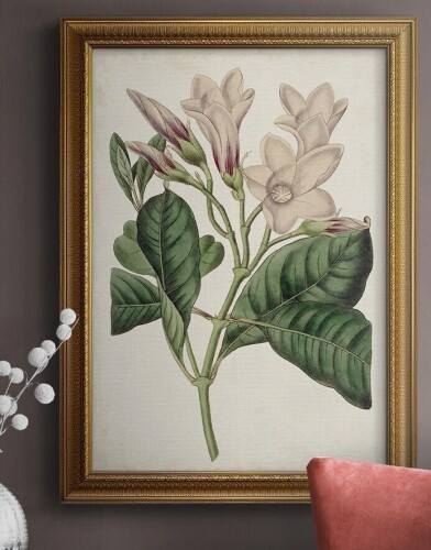 Red Barrel Studio&reg; "Antique Botanical Collection IX" Painting Print, 16"W x 20"H New In Box $199