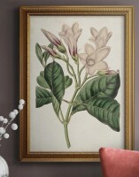 Red Barrel Studio&reg; "Antique Botanical Collection IX" Painting Print, 16"W x 20"H New In Box $199