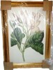Red Barrel Studio&reg; "Antique Botanical Collection IX" Painting Print, 16"W x 20"H New In Box $199 - 2