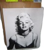 House of Hampton&reg; Hollywood Photo Archive Gallery Wrapped Canvas Art Titled: Marilyn Monroe, 16" x 24" New In Box $199 - 2
