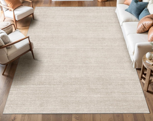 Valenrug Stain Resistant Area Rug for Living Room, Non Slip Backing Printed Rug for Bedroom, Folable Machine Washable Area Rug (4'x6', Beige) New In Box $199