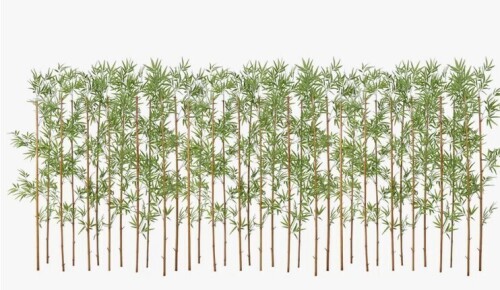 Primrue Adcock 7ft Artificial Bamboo Tree, 36 Pack Privacy Fence Decor - Real Bamboo Pole with UV Resistant Leaves New in Box $399